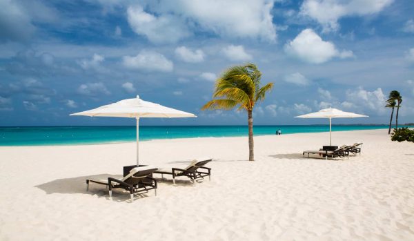 Bucuti Beach palm, sand and Chairs