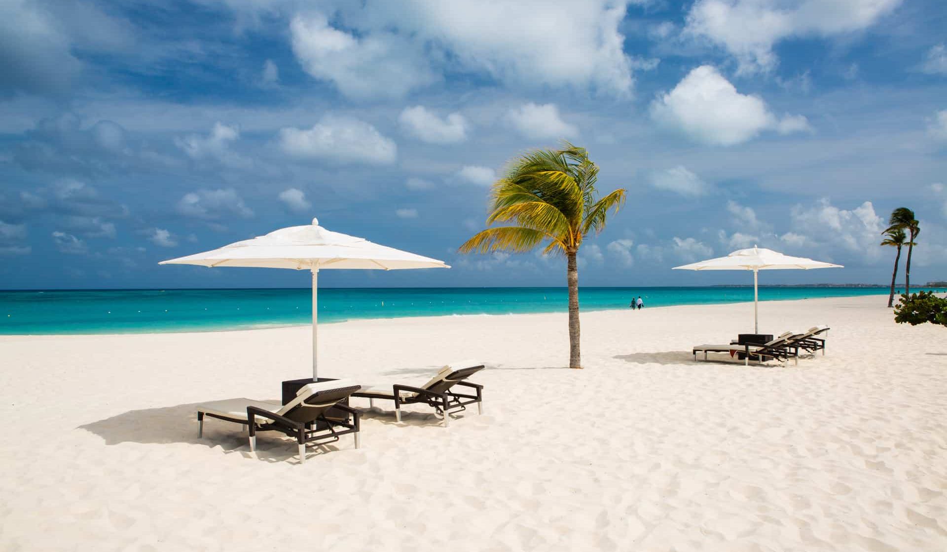 Bucuti Beach palm, sand and Chairs